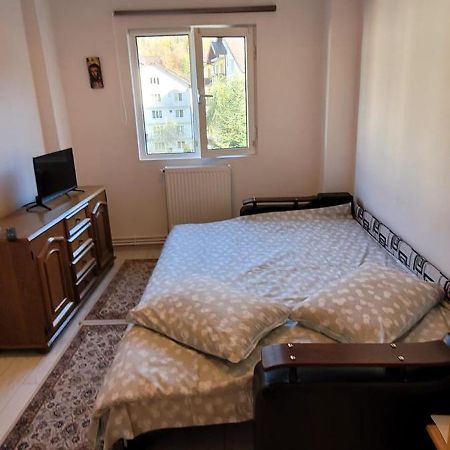 Patricia Apartment Sinaia Ngoại thất bức ảnh